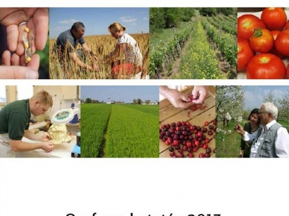 On-farm kutatás 2013 - <br>A második év eredményei